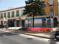 Floresur S.L.- Ajardinamientos y estudios hidrológicos en Málaga- Andalucía